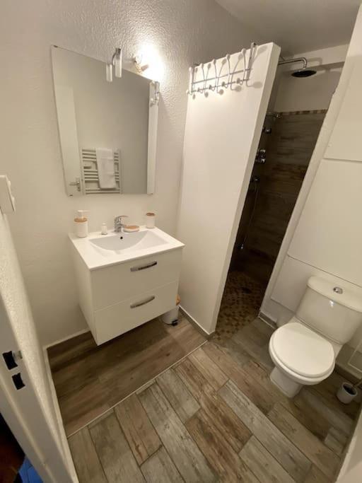 Апартаменти Studio Cabine Avec Jardin Кане-ан-Руссійон Екстер'єр фото